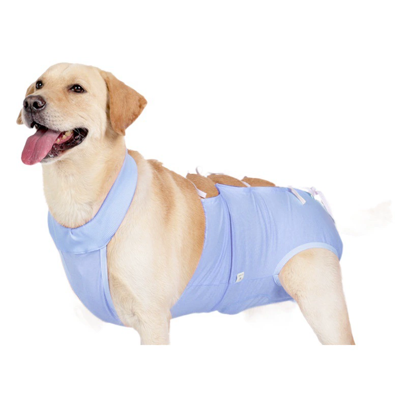 Новые трансграничные товары для домашних животных, повязка для стерилизации собак, простая стираемая дышащая, предотвращающая облизывание, высокоэластичная одежда для домашних животных после операции