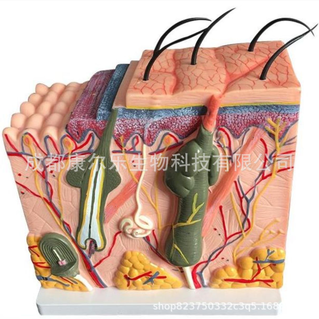 微信图片_20220906182907