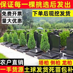 �ؘ���� ���� ����ɰ؂Ȱؘ���A���ɘ䌚����������G���ļ���