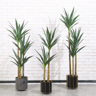 ���R�d���N�����Gֲ����������m�҃�������̈��Ƶ��Ԕ[���[�