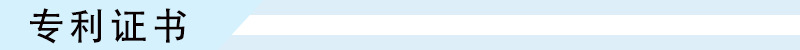 专利