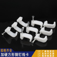 ᔾA늾ˮᔠᔾW늾߾۹̶