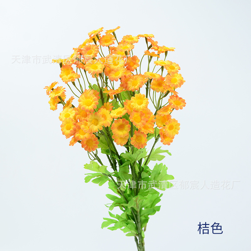 カモミールの単枝30輪の花が国境を越えて起爆した家庭の客間に小さなデイジーベランダの小さな清新な装飾を配置することをシミュレーションした|undefined