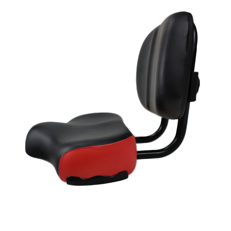 Bicicleta eléctrica transfronteriza con sillín de respaldo, conducción de fitness en triciclo, asiento de bicicleta dinámico a tope grande