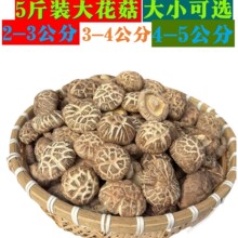 泌阳花菇剪脚干货农家土特产花菇蘑菇煲汤食材批发食用菌