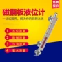 侧装水位磁性高温液位计