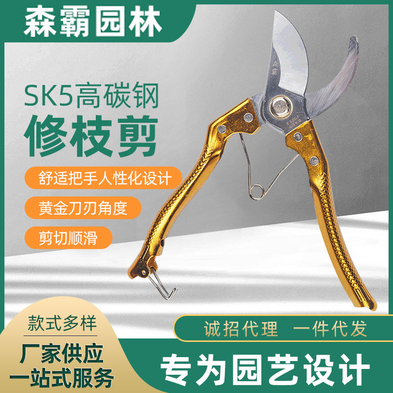 鸟嘴金属园林剪 多功能省力小型金属高枝剪 SK5合金配件园艺枝剪