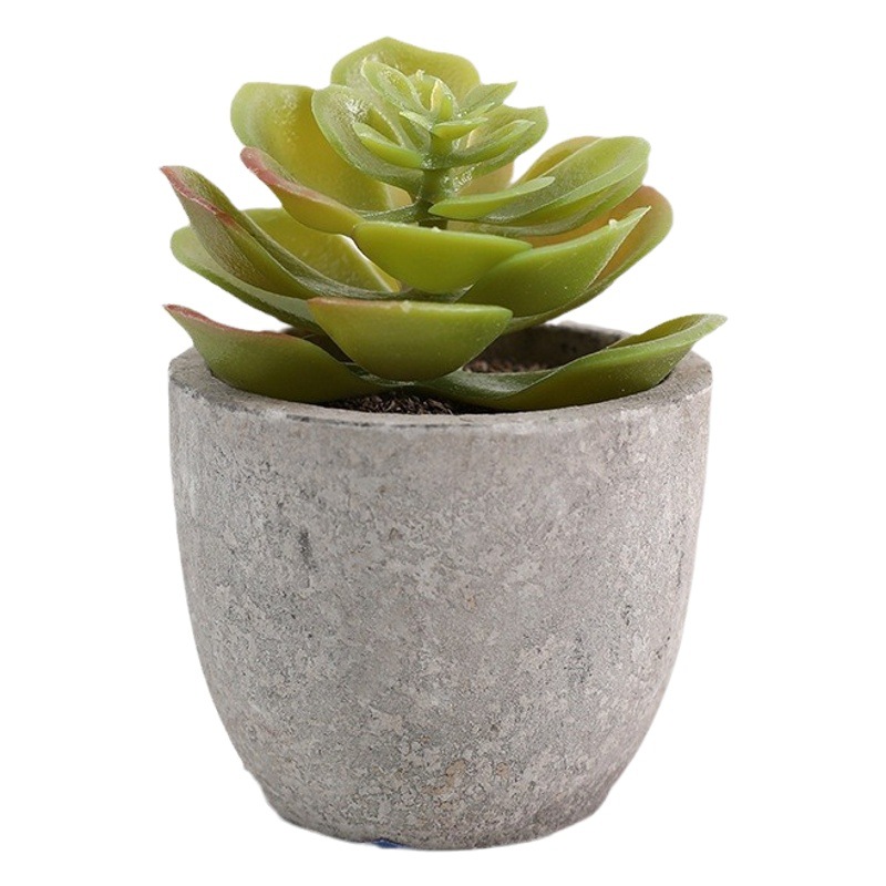 Pulpa artificial suculento bonsai planta verde bonsai chino decoración del hogar Decoración de escritorio mini pequeño bonsai árbol de simulación