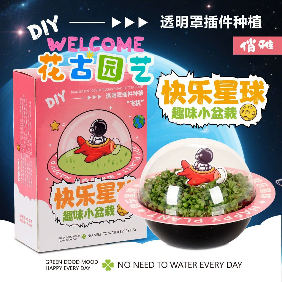 Большой глаз Мэн Цзы Трава Голова Кукла Трава Посадка Рабочий стол Маленькие растения в горшке Офис Зеленые растения Украшения Рождественский подарок Оптовая продажа
