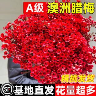 �����D÷�r��ˮ�����Ըɻ��������r�л��r֦��֦�滨�҃��^�궬��