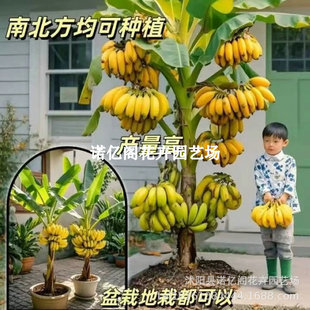 �Ž�����������ԾGֲ�㽶��۽�ͥԺ�Ž����ͺ��^�p����������B