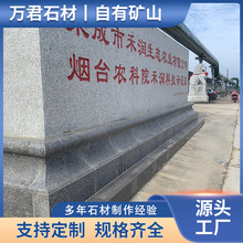 門牌石刻字石 廣場公園自然風景石天然青石大型景觀漢字雕刻石頭