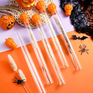 Halloween Packaging Tube Creative Pumpkin Head Pet Blow Molding Tube Candy Packaging
