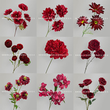 �tɫϵ���滨��c�Y�û�܇���滨�Ƶ����޾W�t��õ���ٲ�����