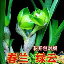 �����������Ͱ��N�ϷN���m�G녽����҃��m�����ԾGֲ����