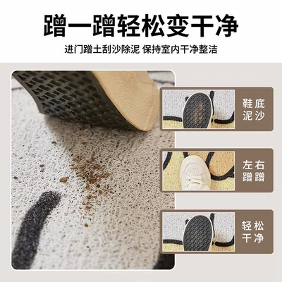 Avtomobil döşəmə paspasları, Outdoor Wire Loop Dust-Removing Door