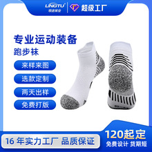 �R���Ɍ��I�ܲ��m��ë���׶�Ͳ�m����͸���ٸ��\���m�͎Ͷ��m����