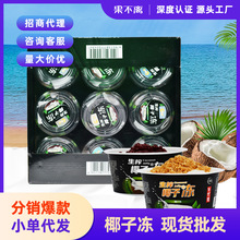 果不离椰子冻礼盒装生榨椰子果冻代发红豆/椰粒果冻批发220g*9杯