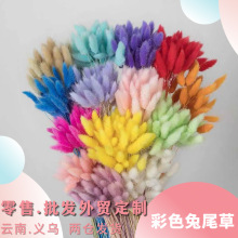 �羳������Q���R�d��ɫ�ɻ���β�����ldiyС����ƿ�廨��