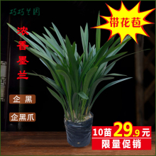 mīm~ˮ߅Aɽ۷mޥmܾGֲ