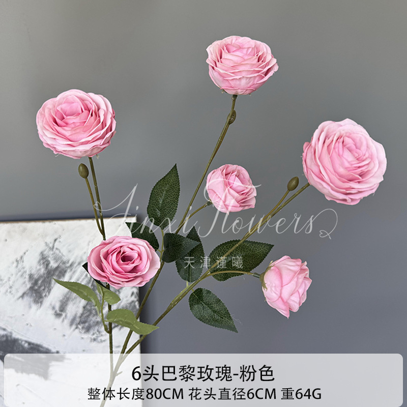 파리 장미 6송이