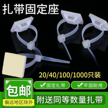 100ֻ�����������N늾��̶�����ᔠ��W���̾��������������]���l