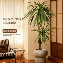 ����Gֲ��횘���Ѫ���҃ȿ͏d�����٘�߶��p�ݻ������������