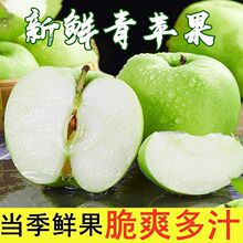 2026�¹����O��ˮ�����r�������䑪������ƽ���ЋDե֭���l���]