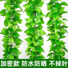 �����ٗl�����~�bٻ������ܵ��p�@�Gֲ��픘��~������ɽ���G�~