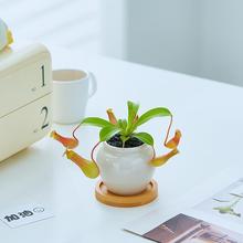 �i�\��ʳ�xֲ���҃Ȳ����k����������B������������x�Gֲ��ω��