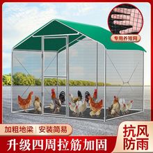 户外鸭大型养殖养鸡鸡笼子鸽笼家用遮雨鸡棚孔雀鸡舍搭建篷家禽笼