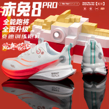 8PROܲЬŮ\ЬpͯW̼匣IRŮ