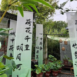 ����ʽ�ɻ�СԺ�򿨲��ü�ᣕ�����͸���첼�����}�Շ��в��