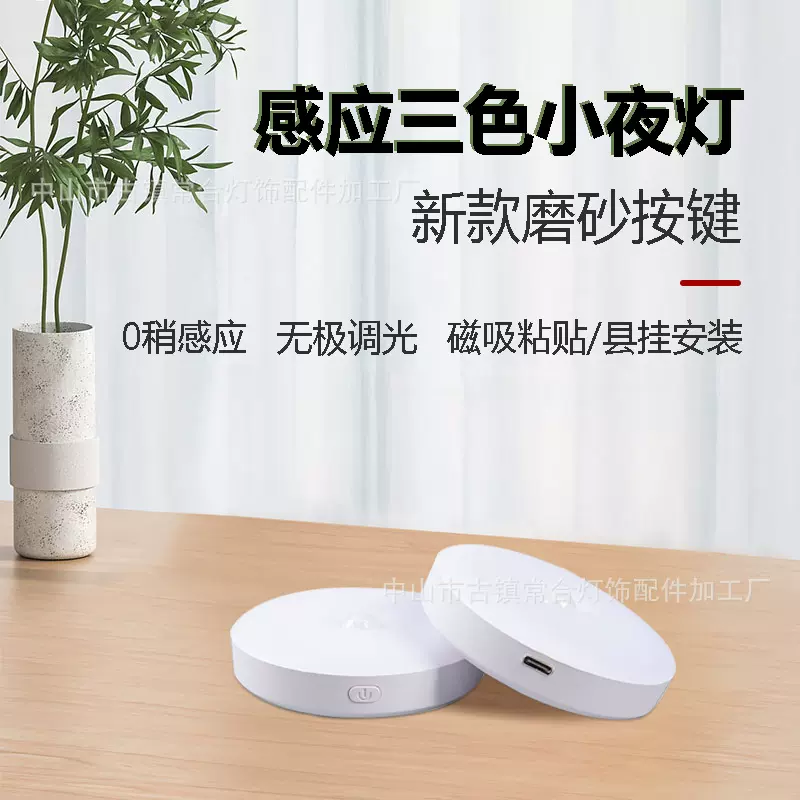 跨境感应灯人来即亮入户玄关楼道老人起夜磁吸Type-C充电口小夜灯