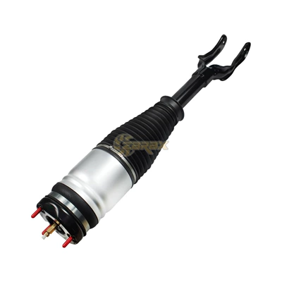 Assembly-68029, damping system