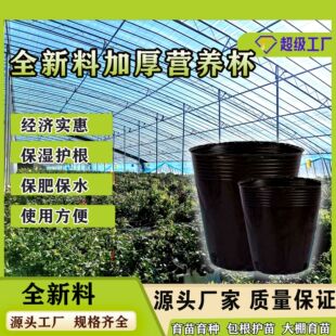 �I�B��������I�B���I�B��������NֲѨ�����籭һ���ԼӺ�����Ѩ