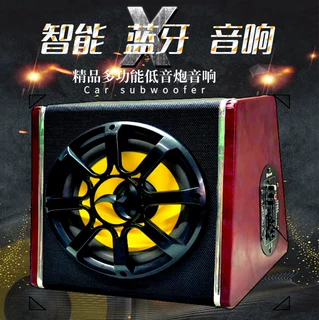 厂家汽车音响有源低音炮10寸音响功放110v220v车载音箱重低音定制