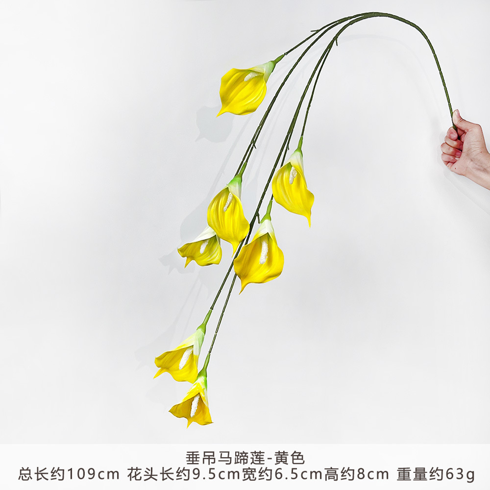 KR-垂吊马蹄莲-黄色