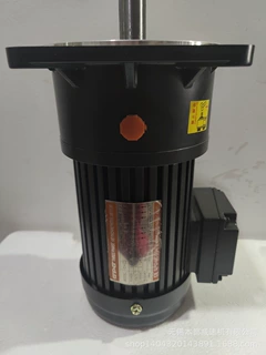 现货销售GPG立式三相异步电机 CV22-400-5S/380V220V