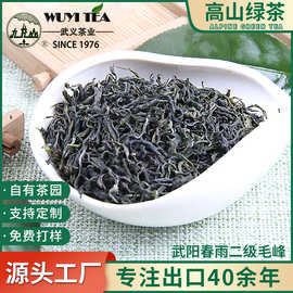 武阳春雨二级毛峰春茶茶叶2025明前绿茶浓香新茶100g袋装散茶