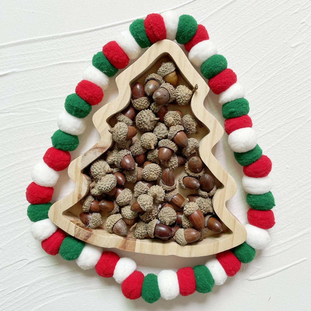 IMG_4232(20230524-165741)