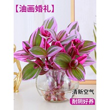 �ͮ���Y���mˮ��ֲ���ǃ������k��������Gֲ������¶�m�ļ����B