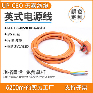 Manufacturer British Standard Series British Power Cord British Standard Power Cord Bs Plug Leakage-Proof British Standard Certification