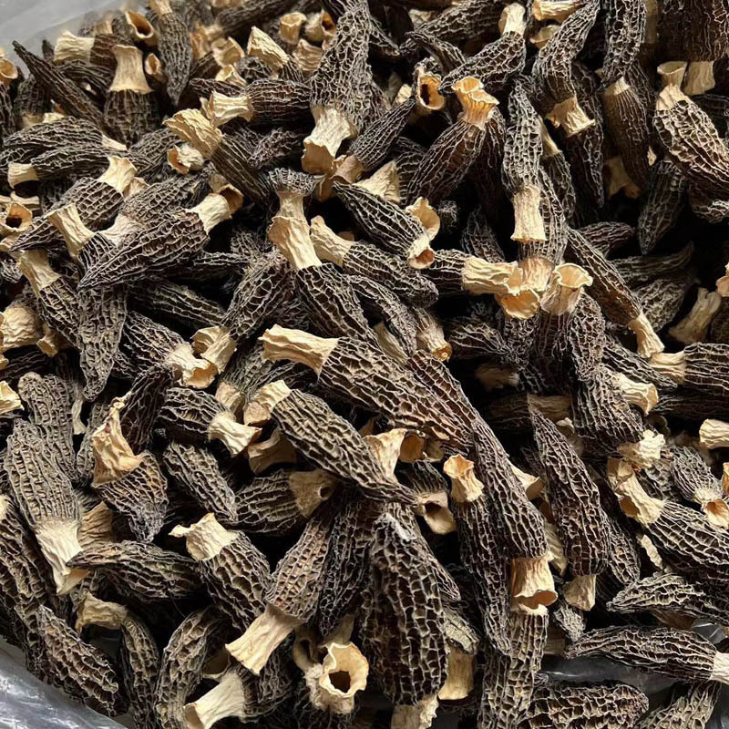 羊肚菌干货新鲜干货批发精品羊肚菌煲汤营养美味支持一件代发