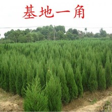 ؘɘؘ~ؘȰؘؘɰؘļ