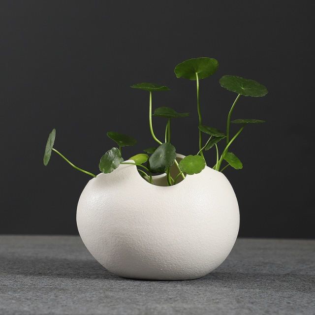 Eggshell Living Room Ceramic Hydroponic Vase Pot Desktop Flower Vessel Small Fresh Ornament Indoor Pothos Pennywort Container