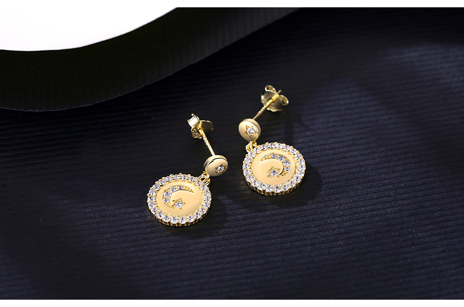 S925 Silver Zircon Star And Moon Earrings display picture 5