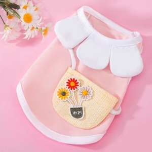 핑크 데이지
