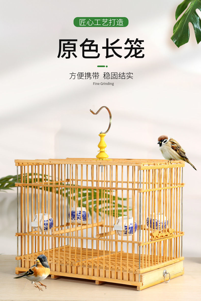 eacab860-af41-4827-9427-bcbcc681bd6f.jpe