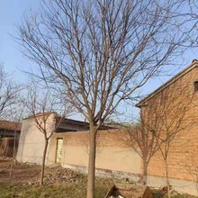 ������ʽ���� ��������8-40���և��� �r����� �ӱ����ݾG����ľ